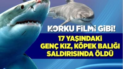 Avustralya'nın Queensland eyaletinde, Bribie Adası’nda okyanusta yüzen 17 yaşındaki bir