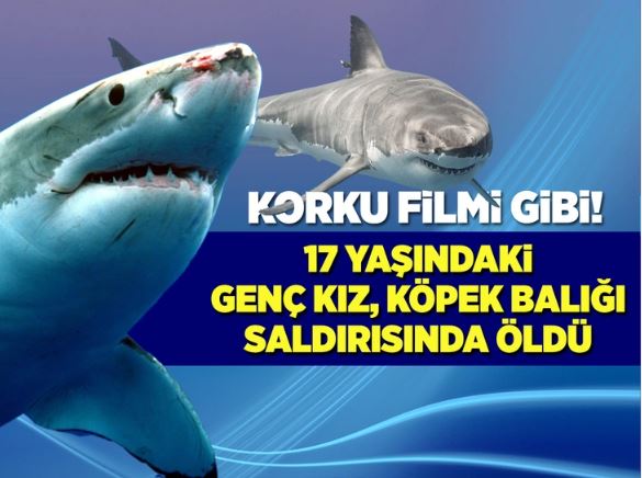 Avustralya'nın Queensland eyaletinde, Bribie Adası’nda okyanusta yüzen 17 yaşındaki bir