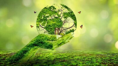 İklim değişikliğiyle mücadeleyi yasal altyapıya kavuşturacak olan Türkiye'nin ilk "İklim