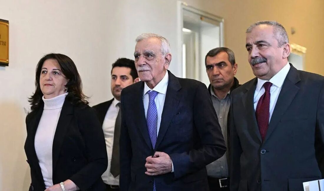 İmralı'dan gelen silah bırakma çağrısının ardından DEM Parti'nin siyasi parti