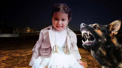 Konya’nın Karatay ilçesinde sahipsiz köpeklerin saldırısına uğrayan 2 yaşındaki Rana