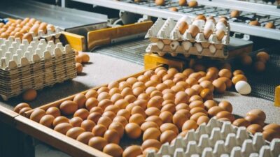 Son dört ayda yumurta fiyatları yüzde 70’in üzerinde zamlandı. Uzmanlar,