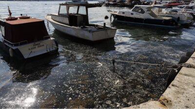 Beykoz sahilinde yeniden görülen müsilaj, hem balıkçılığı sekteye uğrattı hem