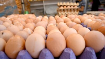 Ankara Sıhhiye’deki İş Yurtları Kurumu Satış Mağazası önünde ucuz yumurta