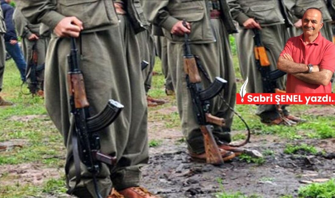 Terör örgütleri demokrasi, hukuk ve özgürlük getirebilir mi? Sabri Şenel'in