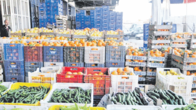 Ticaret Bakanlığı tarafından hazırlanan yeni Toptancı Hal Yasası taslağı, üreticileri