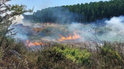 Bursa’nın merkez Osmangazi ilçesine bağlı İsmetiye Mahallesi’nde çıkan orman yangını