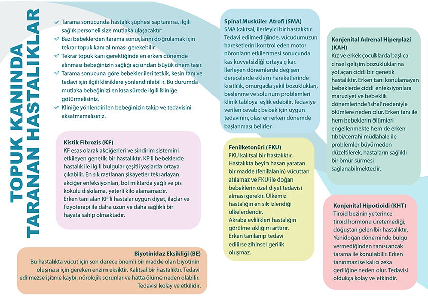 Yenidogan Tarama Programi Brosur 2