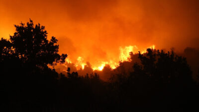 Çanakkale Ayvacık’ta çıkan orman yangını 4 köyün tahliyesine yol açtı.