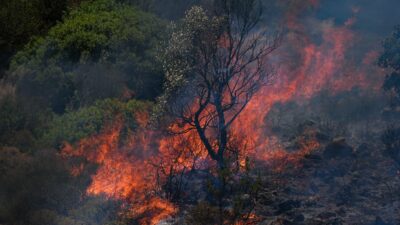 İzmir’in Ödemiş, Buca ve Çeşme ilçelerinde günlerdir süren orman yangınlarında