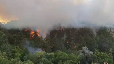 Bolu’nun Mengen ilçesinde öğleden sonra başlayan orman yangını, yaklaşık 5