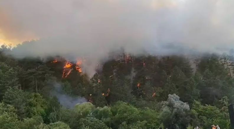 Bolu’nun Mengen ilçesinde öğleden sonra başlayan orman yangını, yaklaşık 5