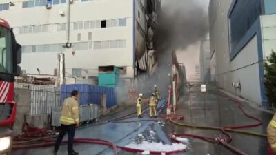 İstanbul Arnavutköy'de, içerisinde matbaa, kağıtçılık ve geri dönüşüm tesisi gibi