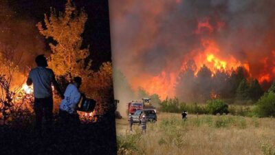 Bu yıl çıkan 4 bin 477 orman yangınında 70 milyon