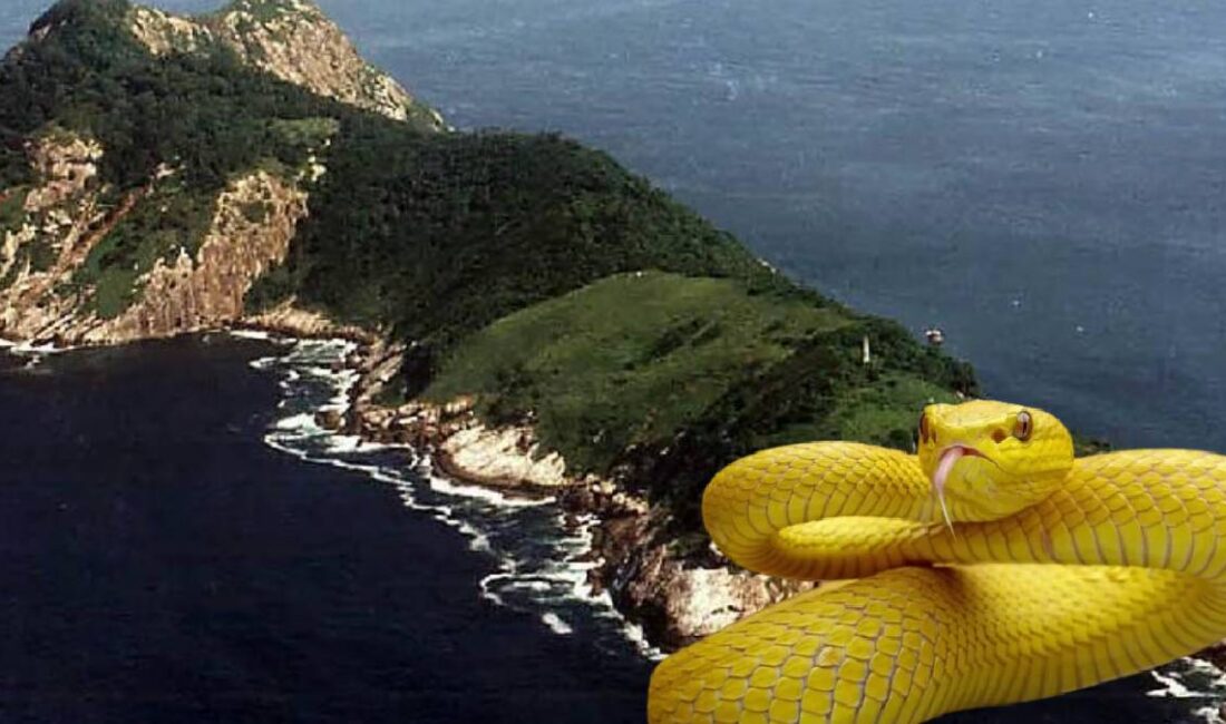 Brezilya’nın São Paulo eyaleti açıklarında yer alan Ilha da Queimada