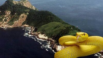 Brezilya’nın São Paulo eyaleti açıklarında yer alan Ilha da Queimada