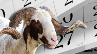 Cumhurbaşkanı Erdoğan, yaptığı açıklamada Kurban Bayramı tatilinin 9 güne çıkarıldığını