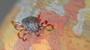 Kırım Kongo Kanamalı Ateşi (KKKA) hastalığı nedeniyle can kayıpları artarken,