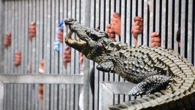 İsrail’in aşırı sağcı Bakanı Ben-Gvir’in, Filistinli tutsakların bulunduğu Ketziot Cezaevi